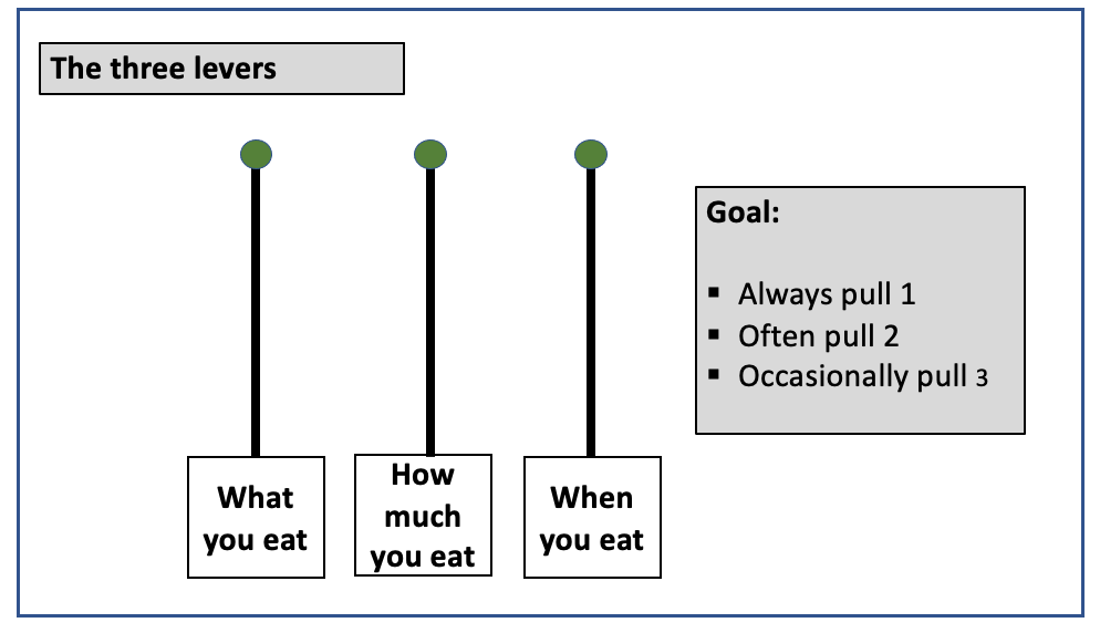 Image depicts the three levers and how they relate to weight management